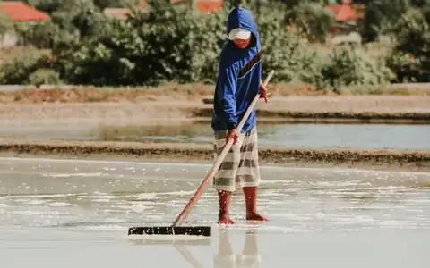 Bewegung: hərəkət