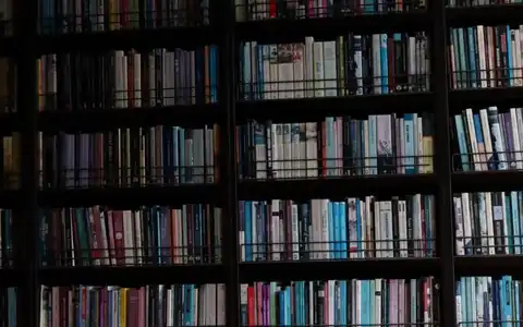 Bildung: təhsil