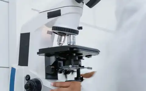 Biologie: biologiya