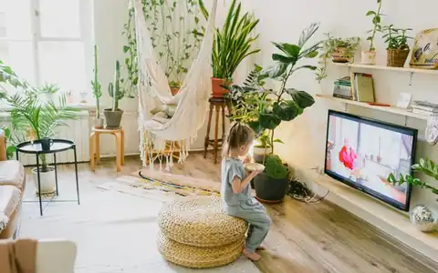 Fernseher: televizor