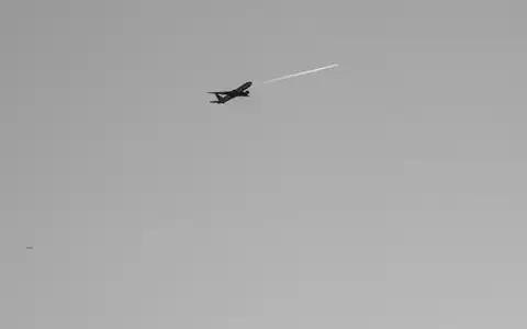 Flug: uçuş