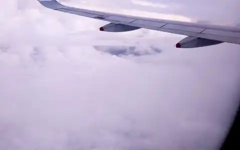 Flugzeug: təyyarə