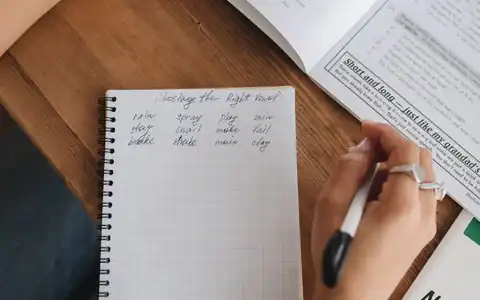 Gedicht: şeir