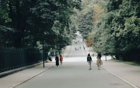 gehen: getmək