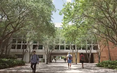 Hochschule: ali məktəb