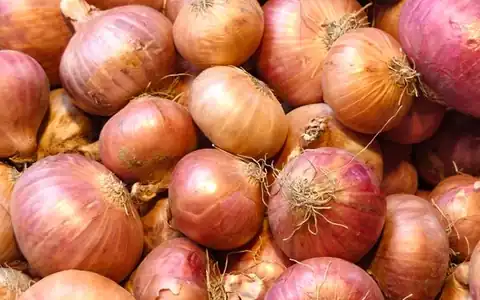 Knoblauch: sarımsaq