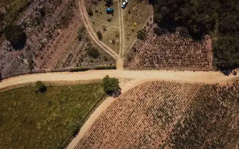 Land: ölkə
