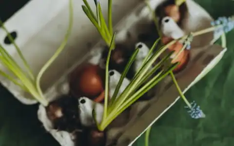 Ostern: Pasxa