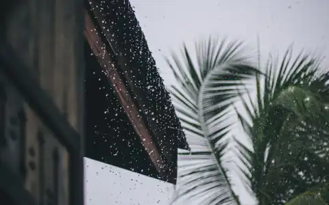 Regen: yağış