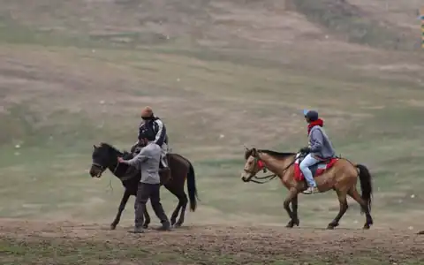 reiten: at minmək