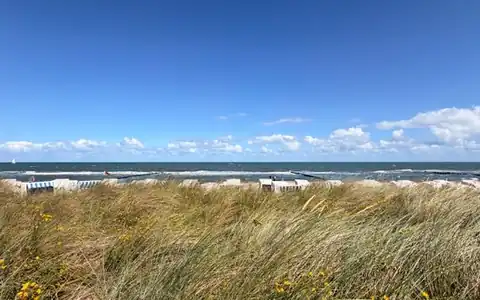 Strand: çimərlik