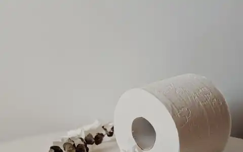 Toilettenpapier: tualet kağızı