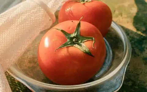Tomate: pomidor