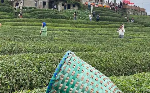 Tourist: turist