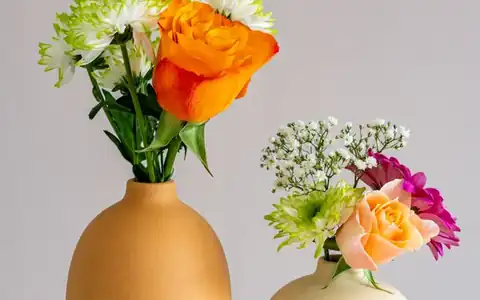 Vase: güldan