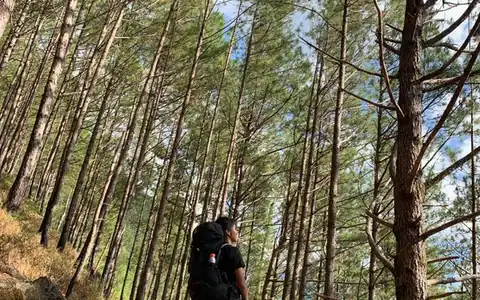Wanderung: piyada gəzinti