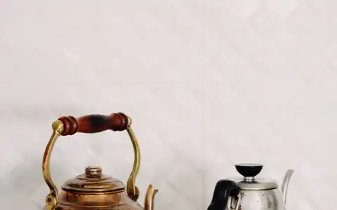 Wasserkocher: elektrik çaydanı