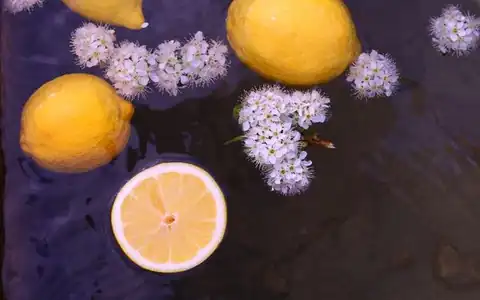 Zitrone: limon