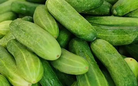 Zucchini: balqabaq